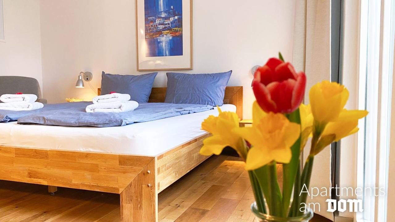 נאומבורג Apartments Am Dom מראה חיצוני תמונה