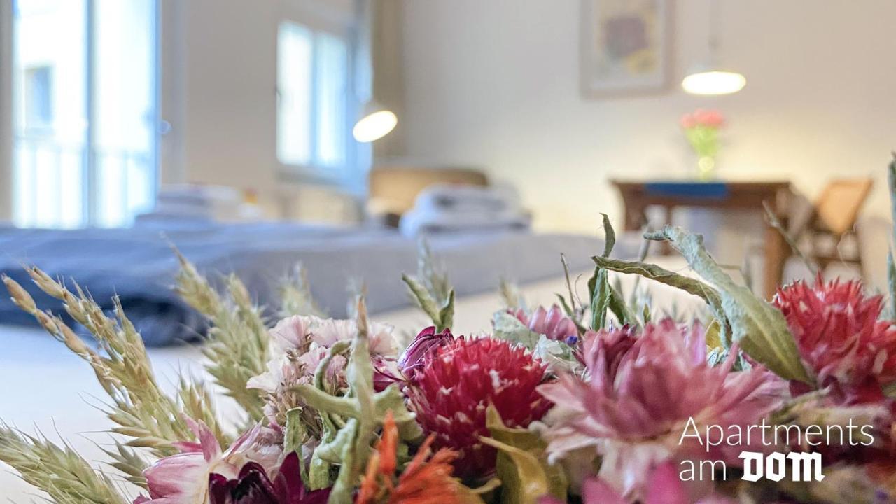 נאומבורג Apartments Am Dom מראה חיצוני תמונה